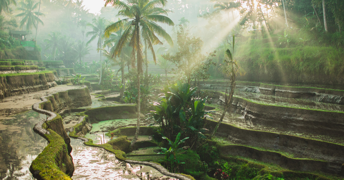 Bali